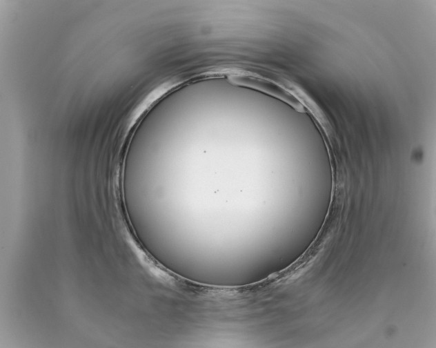 X0000089890909200707262227