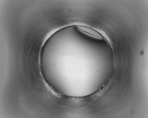 X0000089890910200707262227