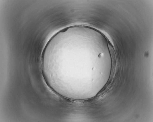 X0000089890911200707262227