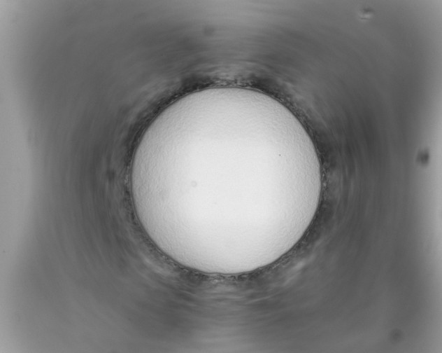 X0000089890913200707262226