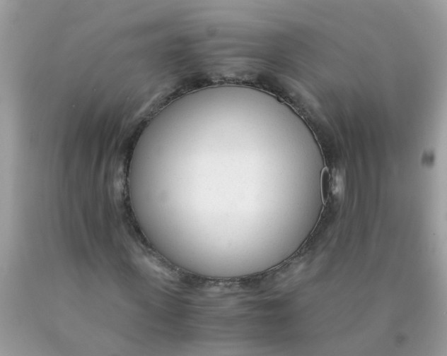 X0000089890915200707262226