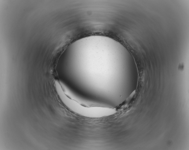 X0000089890916200707262226