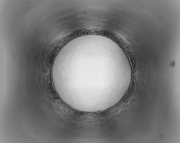 X0000089890917200707262226