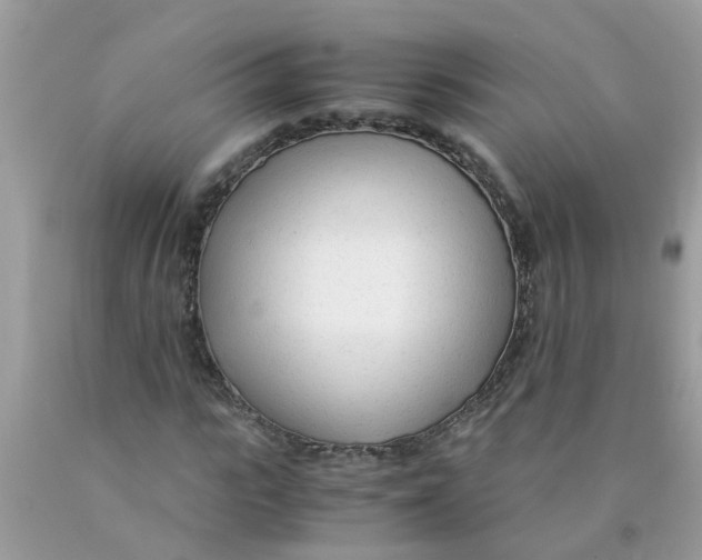 X0000089890919200707262226