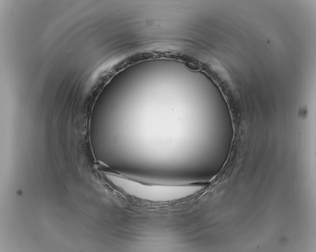 X0000089890920200707262226