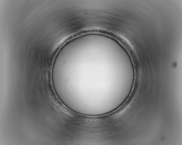 X0000089890921200707262227