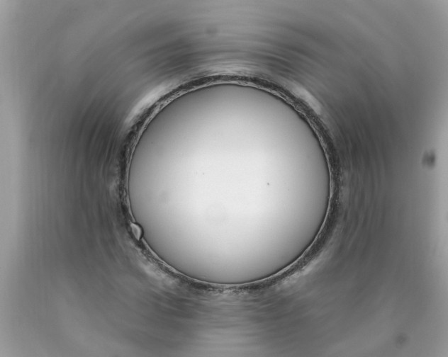 X0000089890922200707262227