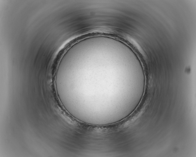 X0000089890923200707262227