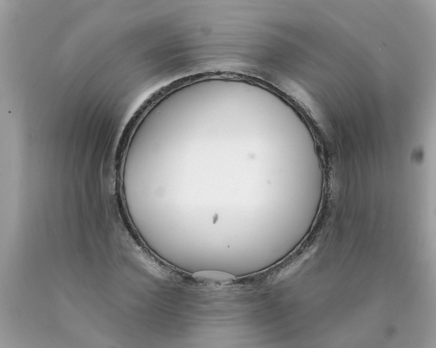 X0000089890924200707262227