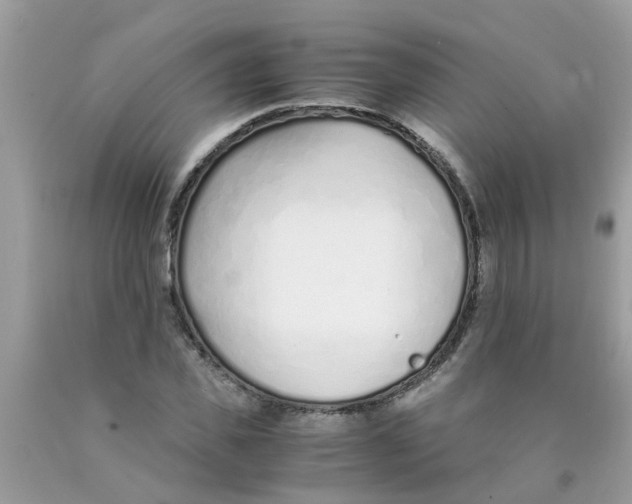 X0000089890925200707262227