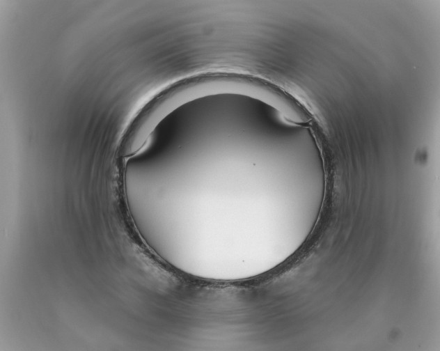 X0000089890926200707262227