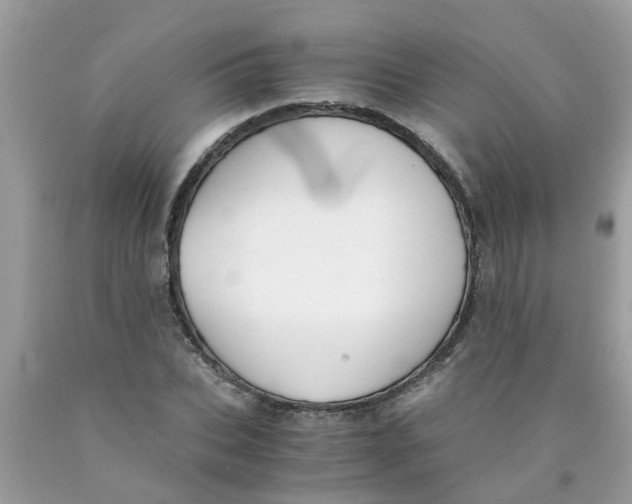 X0000089890927200707262227