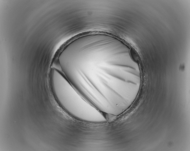 X0000089890928200707262227