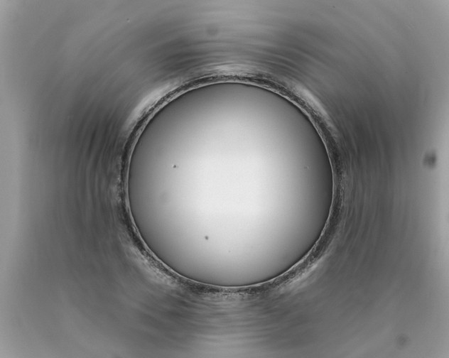 X0000089890930200707262227