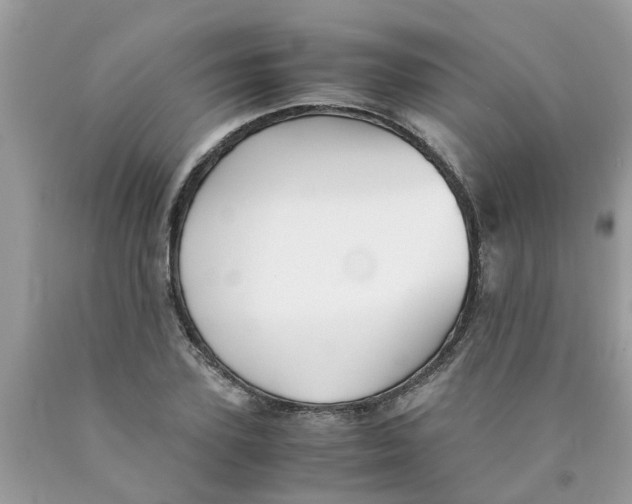 X0000089890931200707262227
