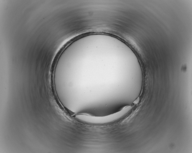 X0000089890932200707262227
