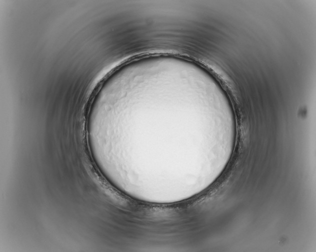 X0000089890933200707262227