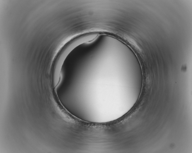 X0000089890934200707262227