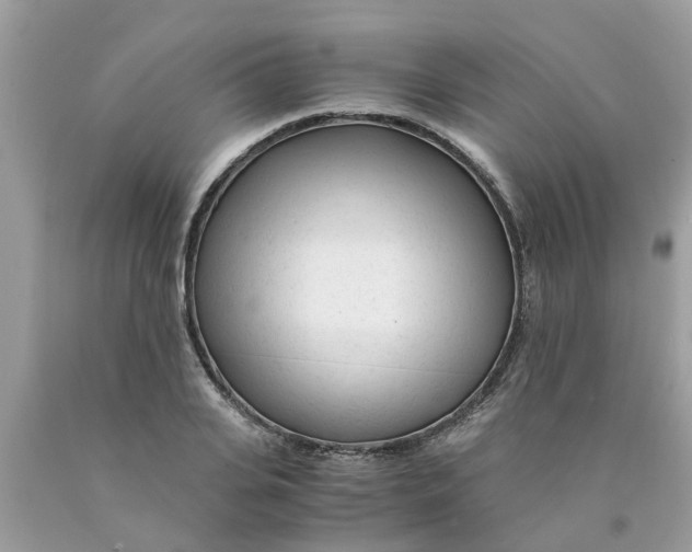 X0000089890935200707262227