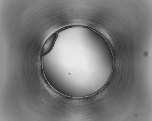 X0000089890936200707262227