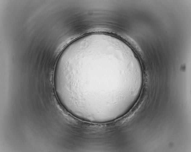 X0000089890937200707262227