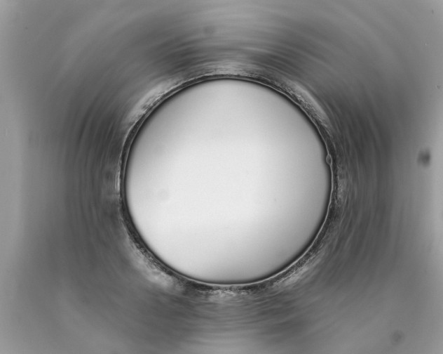 X0000089890938200707262227