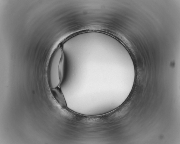 X0000089890939200707262227