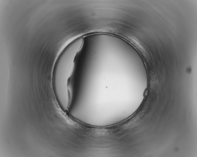 X0000089890940200707262227