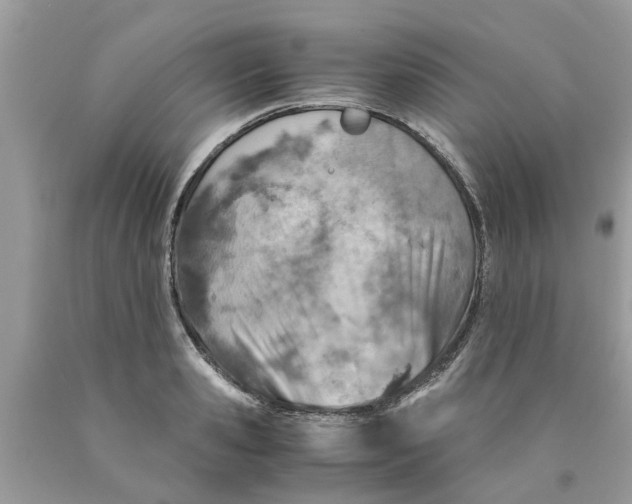 X0000089890941200707262227