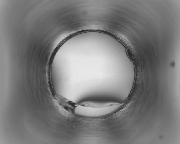 X0000089890942200707262227