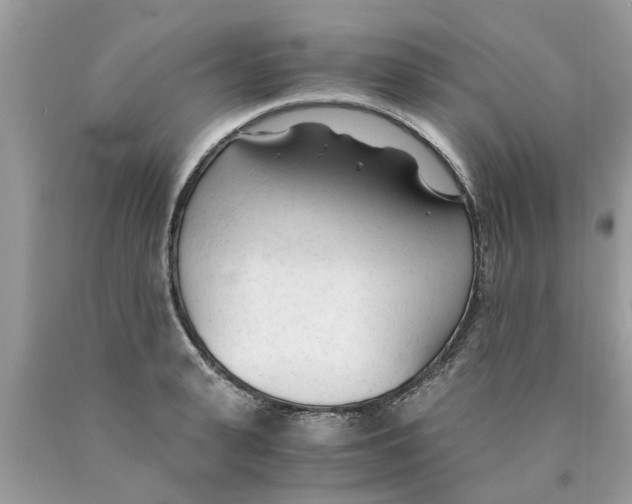 X0000089890943200707262227