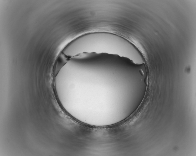 X0000089890944200707262227