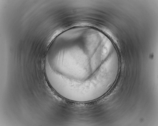X0000089890945200707262227