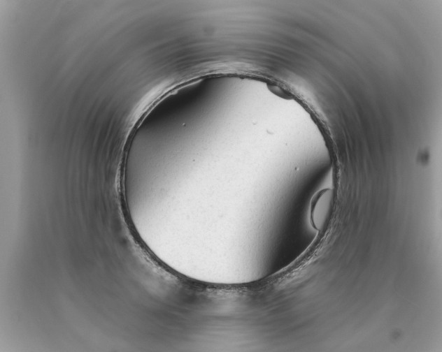 X0000089890946200707262227