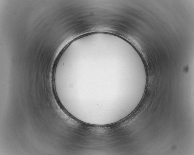 X0000089890947200707262227