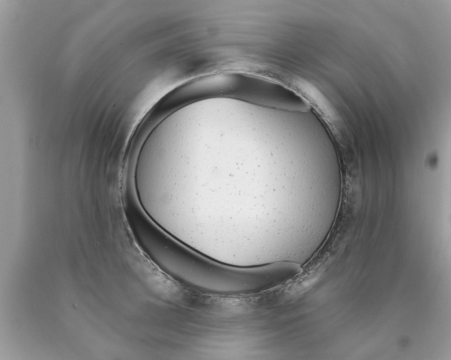 X0000089890948200707262227