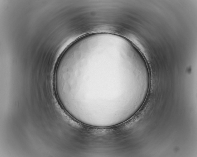 X0000089890949200707262227