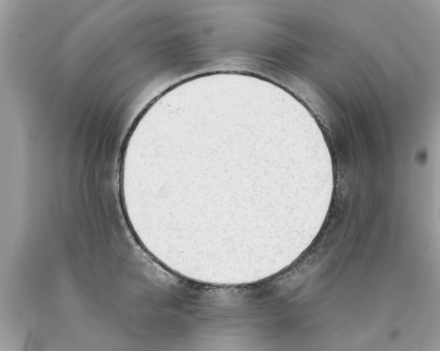 X0000089890950200707262227