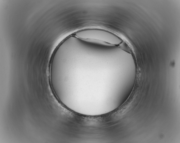 X0000089890951200707262227