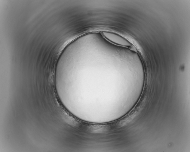 X0000089890953200707262227