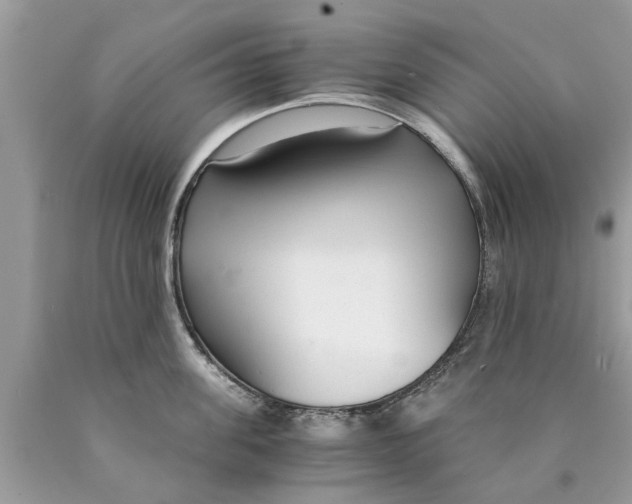X0000089890955200707262227