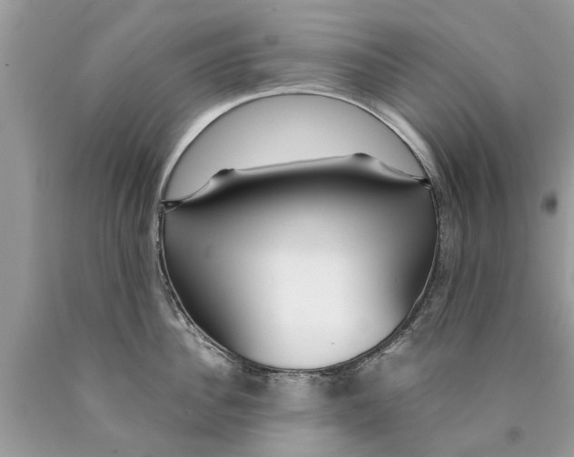 X0000089890956200707262227