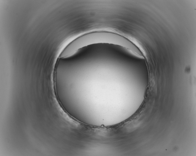 X0000089890959200707262227