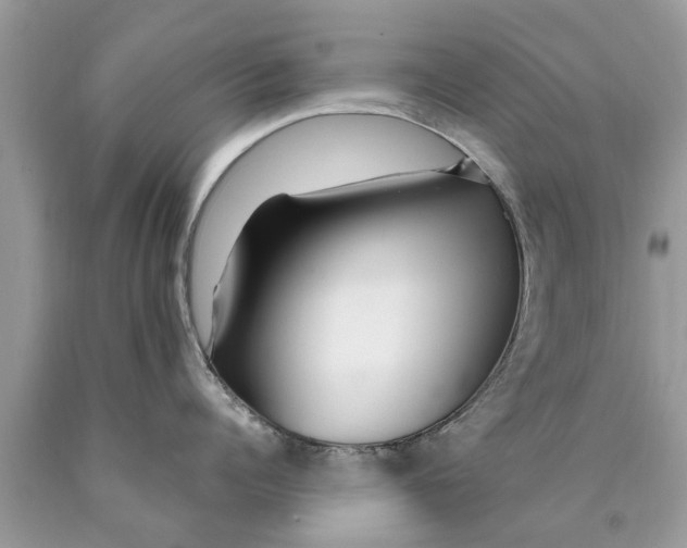 X0000089890960200707262227
