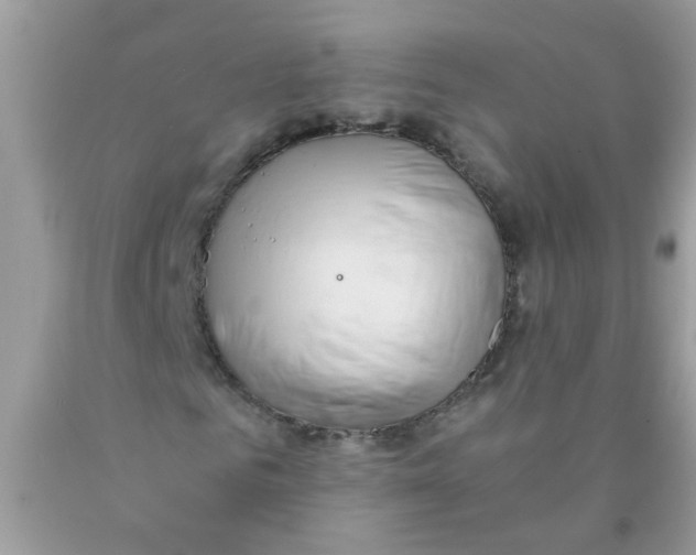 X0000089890961200707262226