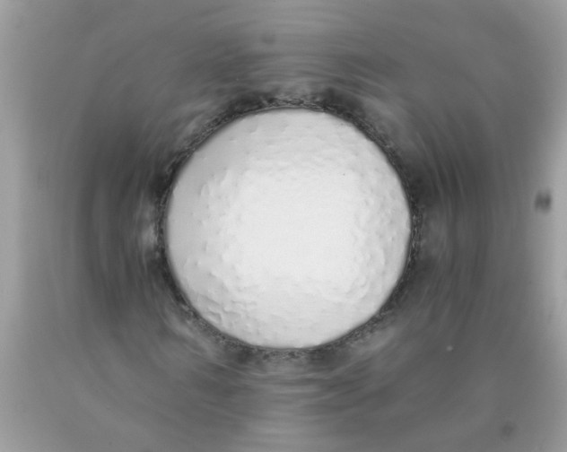 X0000089890962200707262226