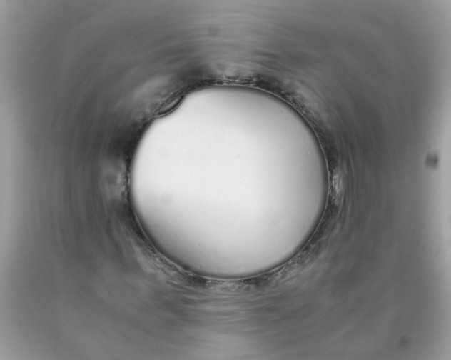 X0000089890963200707262226