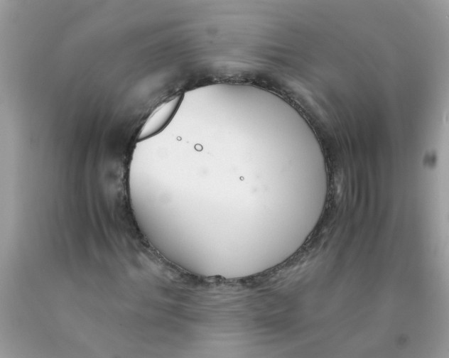 X0000089890964200707262226