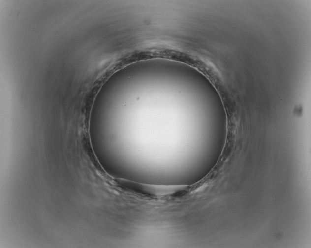 X0000089890965200707262226