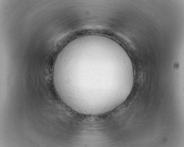 X0000089890966200707262226